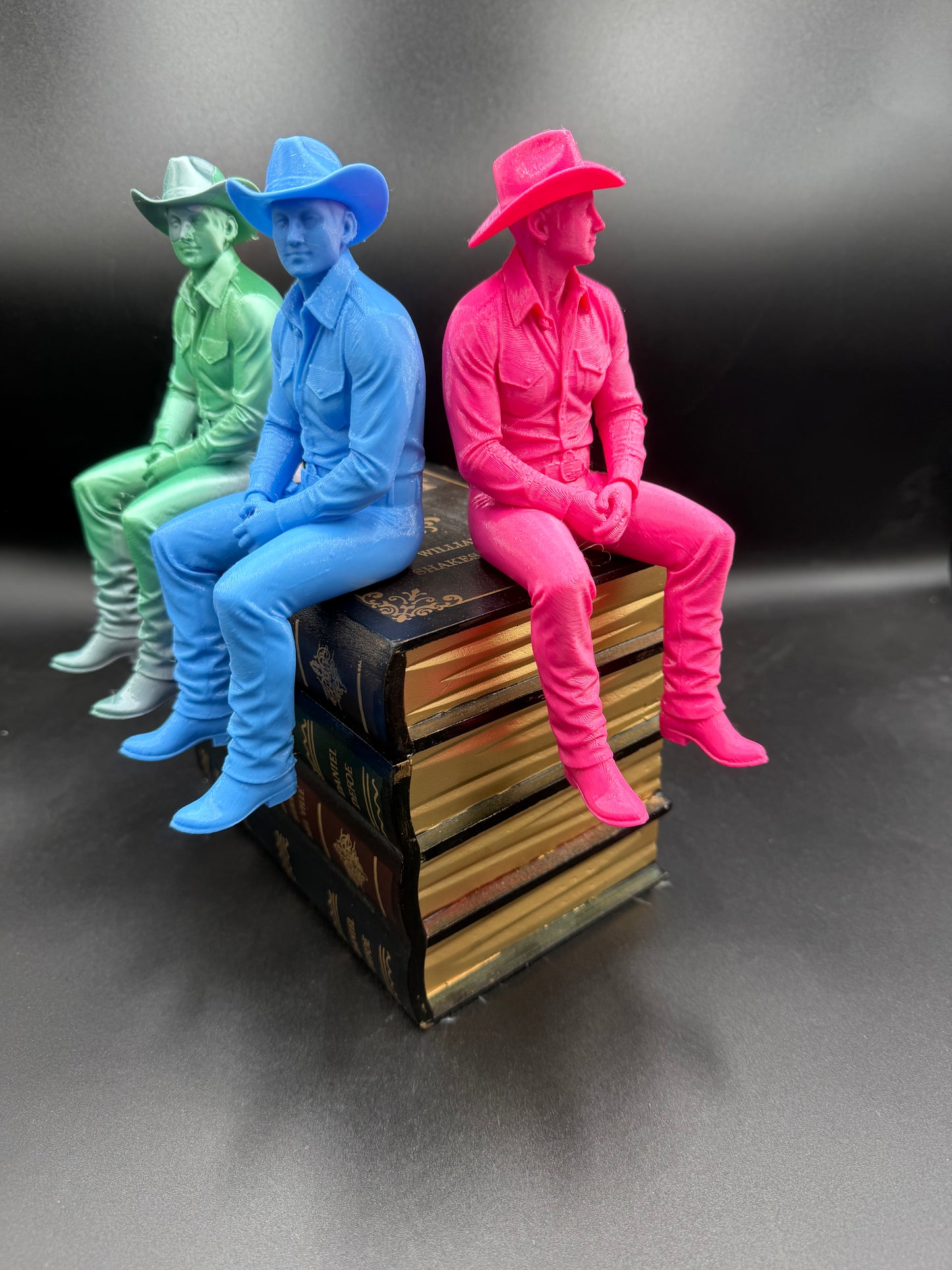 🤠 Book Shelf Buckaroo